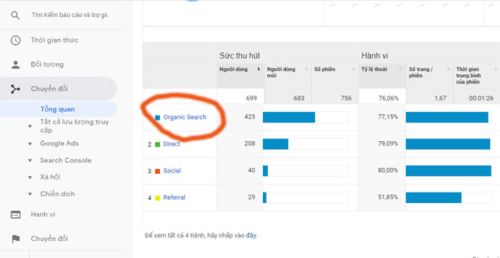 Organic Search Traffic