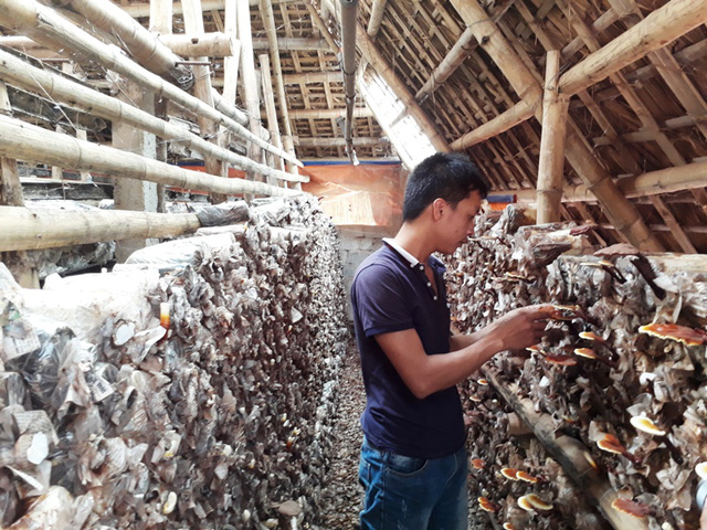 Kinh doanh gì ở nông thôn đang là xu hướng làm giàu Cập nhật tin tức Công Nghệ mới nhất Trangcongnghevn #37 Kinh doanh gì ở nông thôn đang là xu hướng làm giàu Cập nhật tin tức Công Nghệ mới nhất Trangcongnghevn