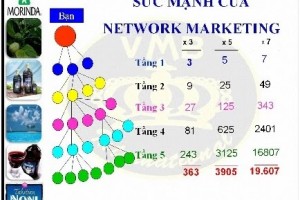 Kinh doanh theo mạng