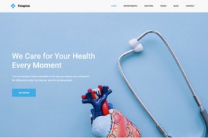 Mẫu website chuyên nghiệp